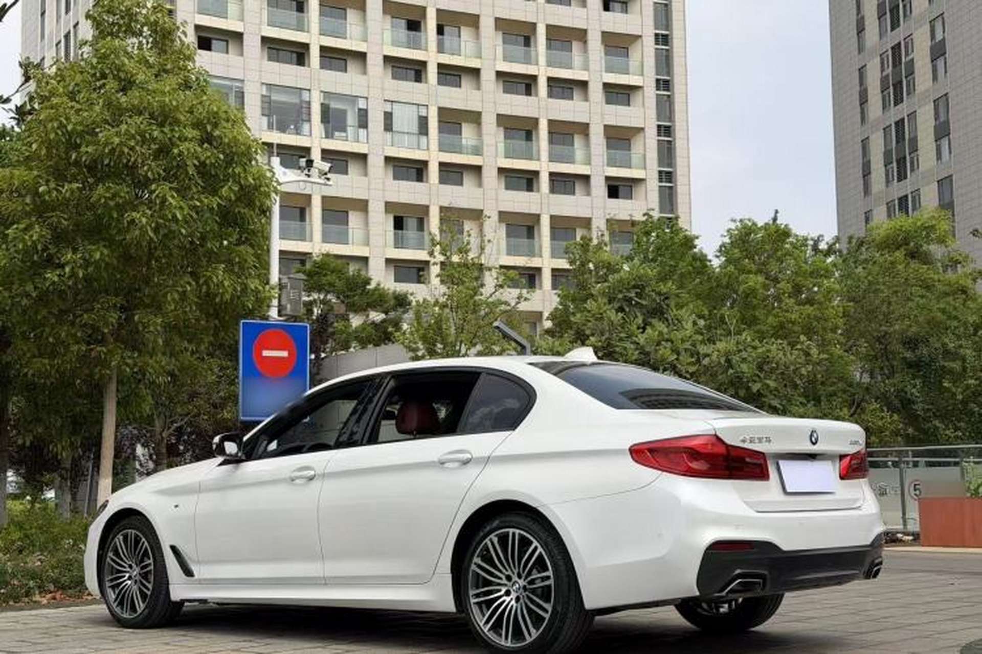 Used BMW 5 Series 2019 530Li Luxury Edition M Sport Package Exterior 6