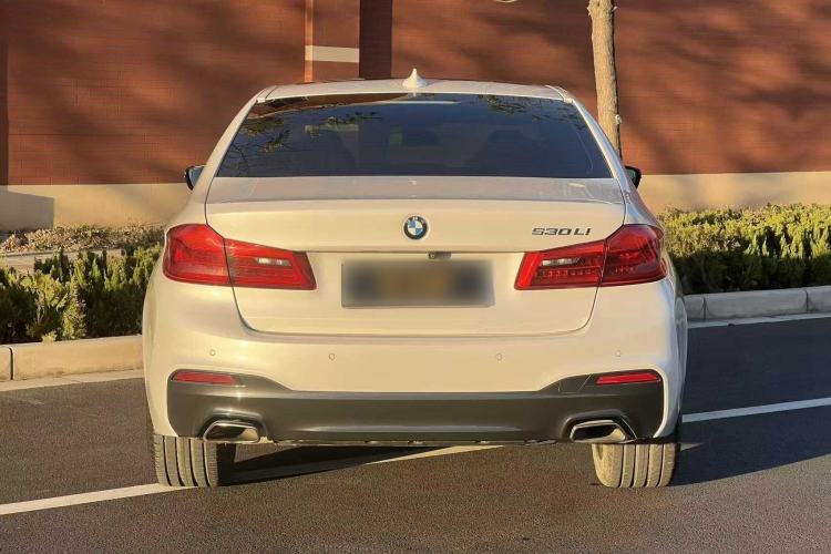 Used BMW 5 Series 2019 530Li Leading Model M Sport Package Exterior 6