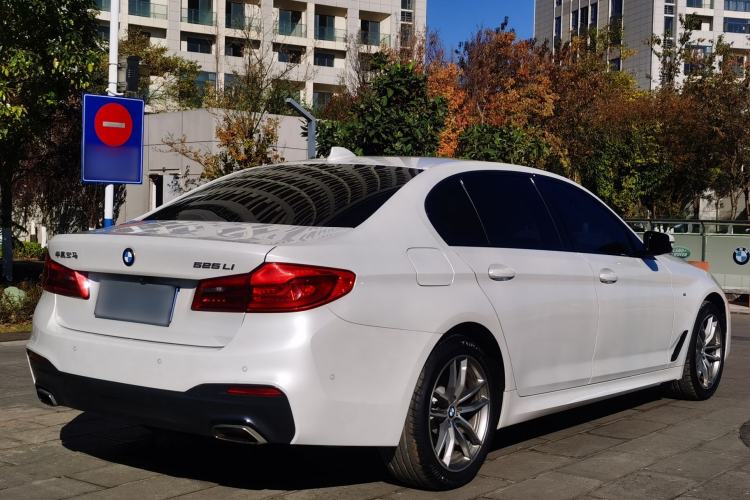 Used BMW 5 Series 2019 525Li M Sport Package Exterior 6