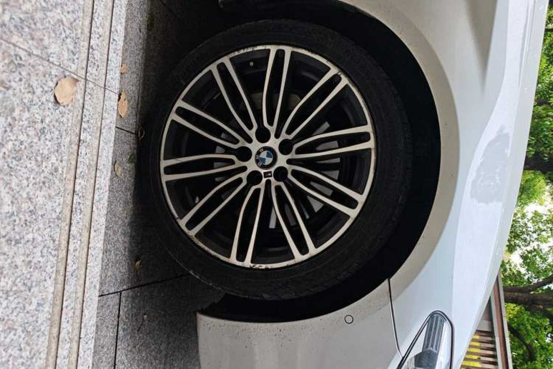 Used BMW 5 Series 2019 530Li Luxury Edition M Sport Package Exterior 7