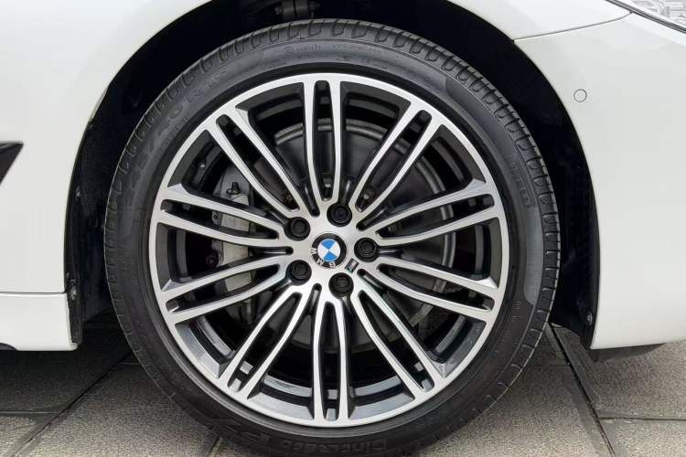 Used BMW 5 Series 2019 530Li Luxury Edition M Sport Package Exterior 7