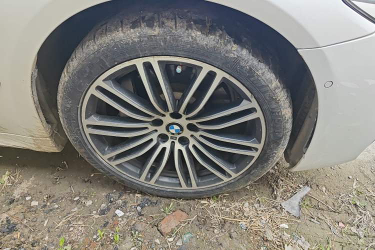 Used BMW 5 Series 2019 530Li Leading Model M Sport Package Exterior 7