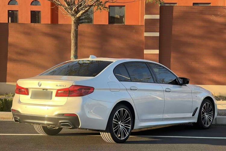 Used BMW 5 Series 2019 530Li Leading Model M Sport Package Exterior 7