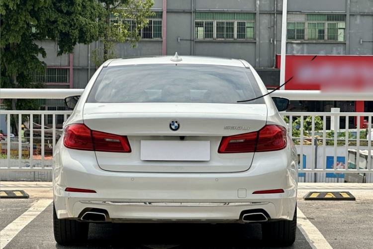 Used BMW 5 Series 2019 530Li Leading Model Luxury Package Exterior 8