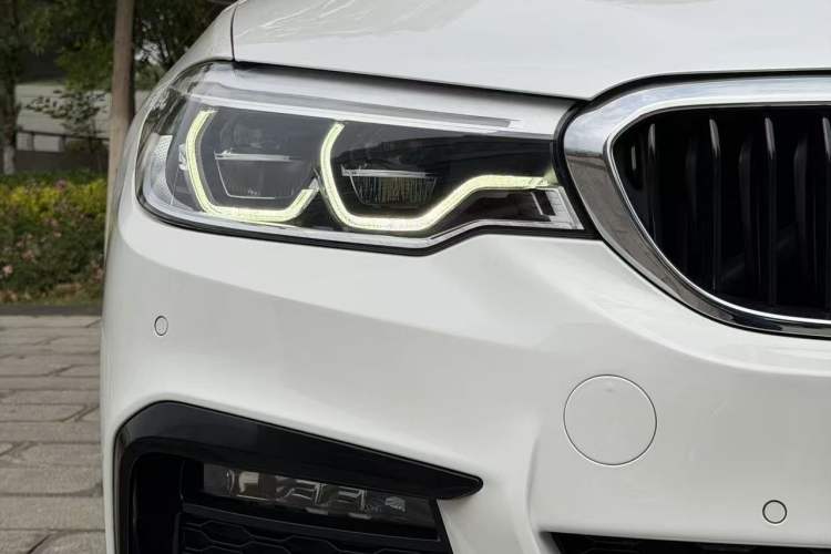 Used BMW 5 Series 2019 530Li Luxury Edition M Sport Package Exterior 8
