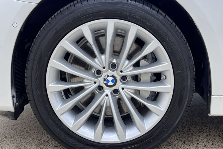 Used BMW 5 Series 2019 Facelifted 530Li Luxury Edition Premium Package Exterior 9