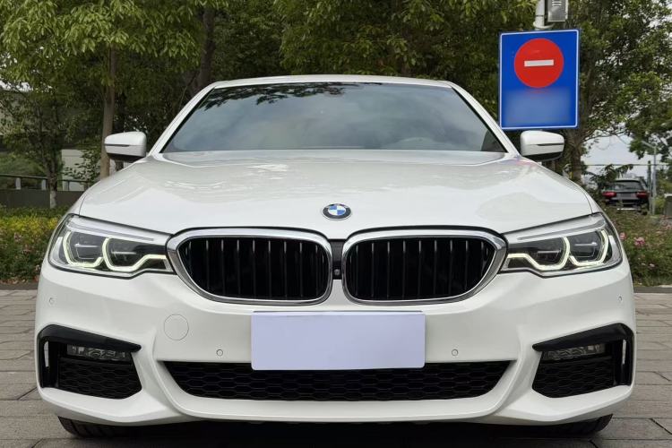 Used BMW 5 Series 2019 530Li Luxury Edition M Sport Package Exterior 9