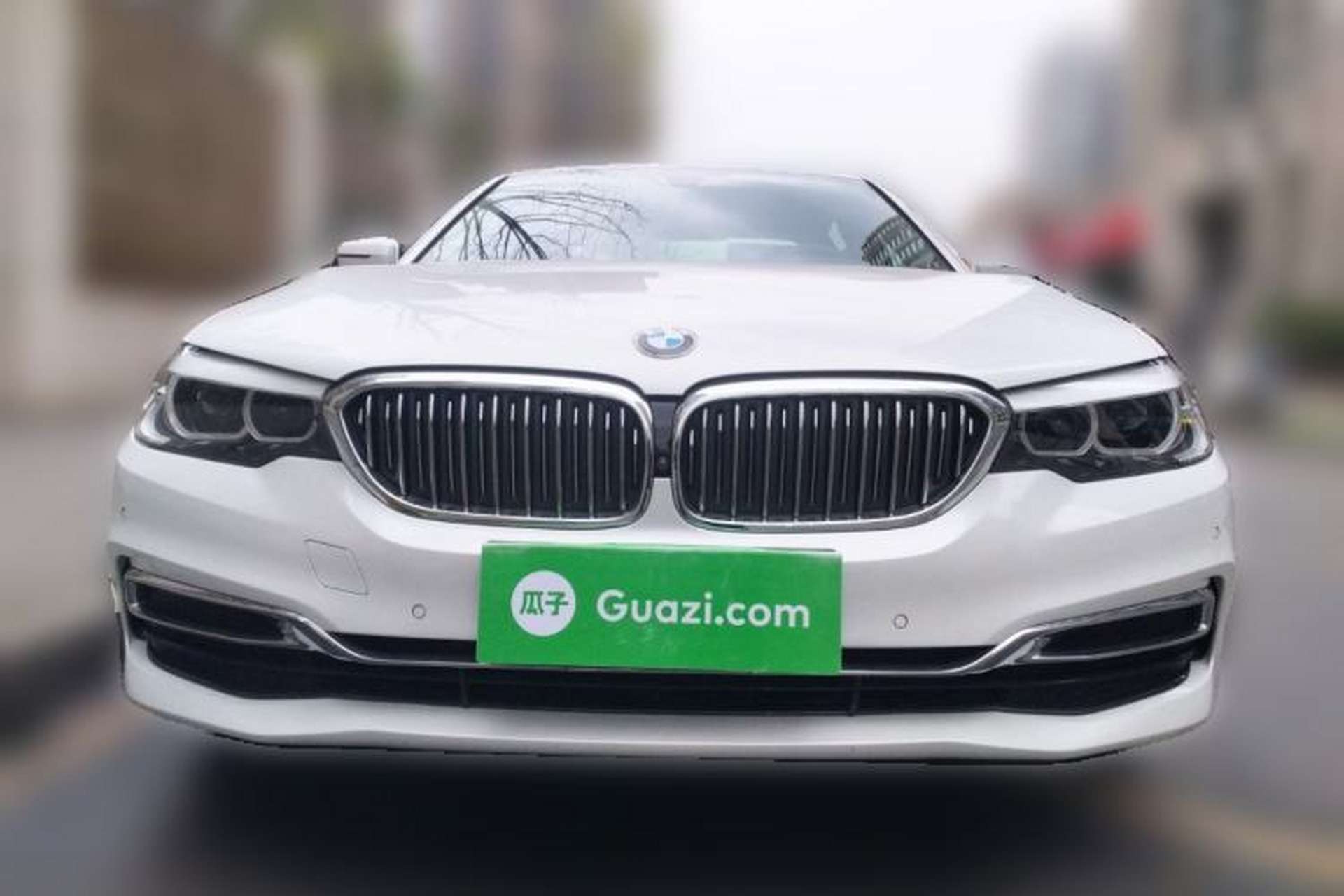 Used BMW 5 Series 2019 Facelifted 530Li Leading Edition Luxury Package Front
