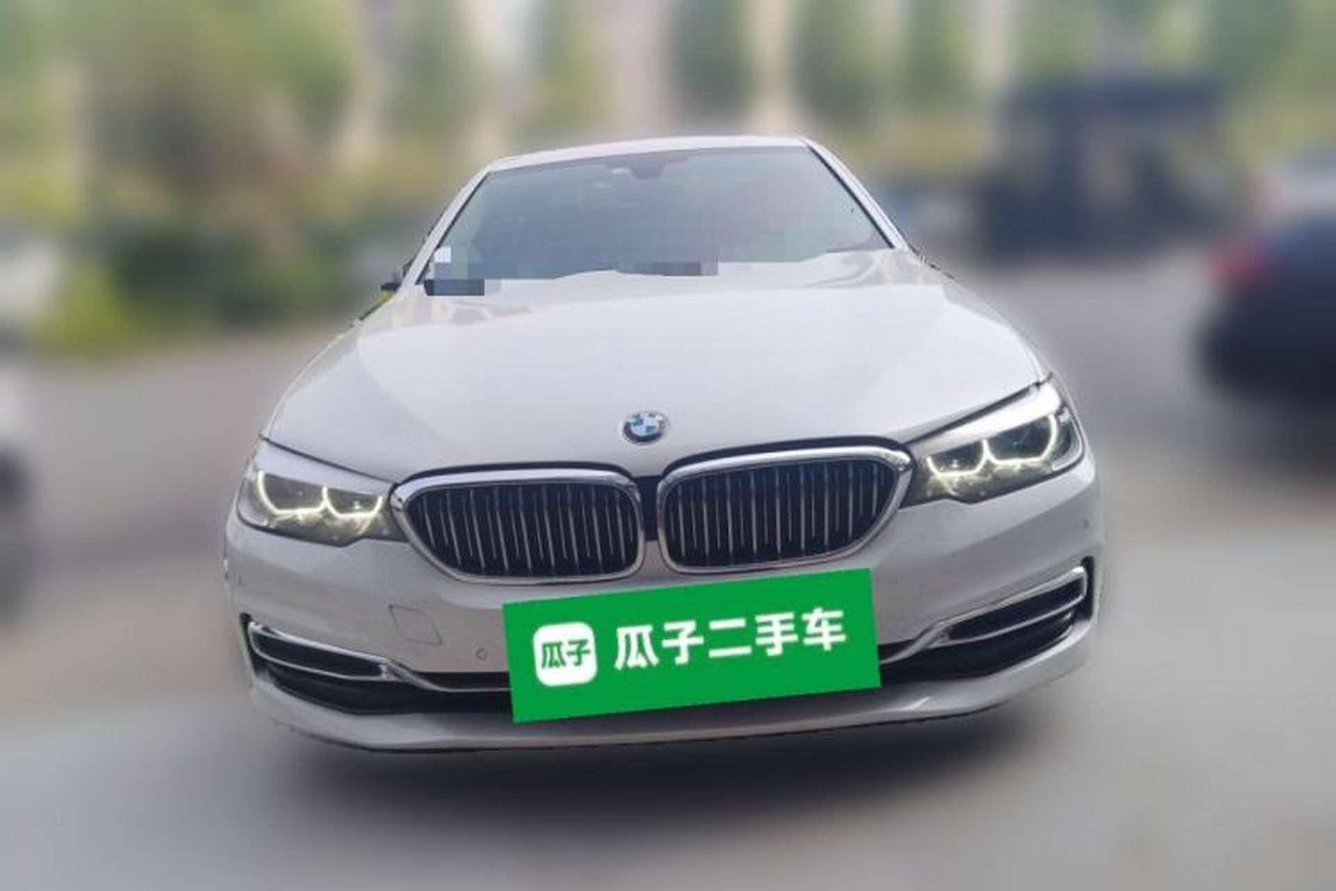 Used BMW 5 Series 2019 Facelifted 530Li Leading Edition Luxury Package Front