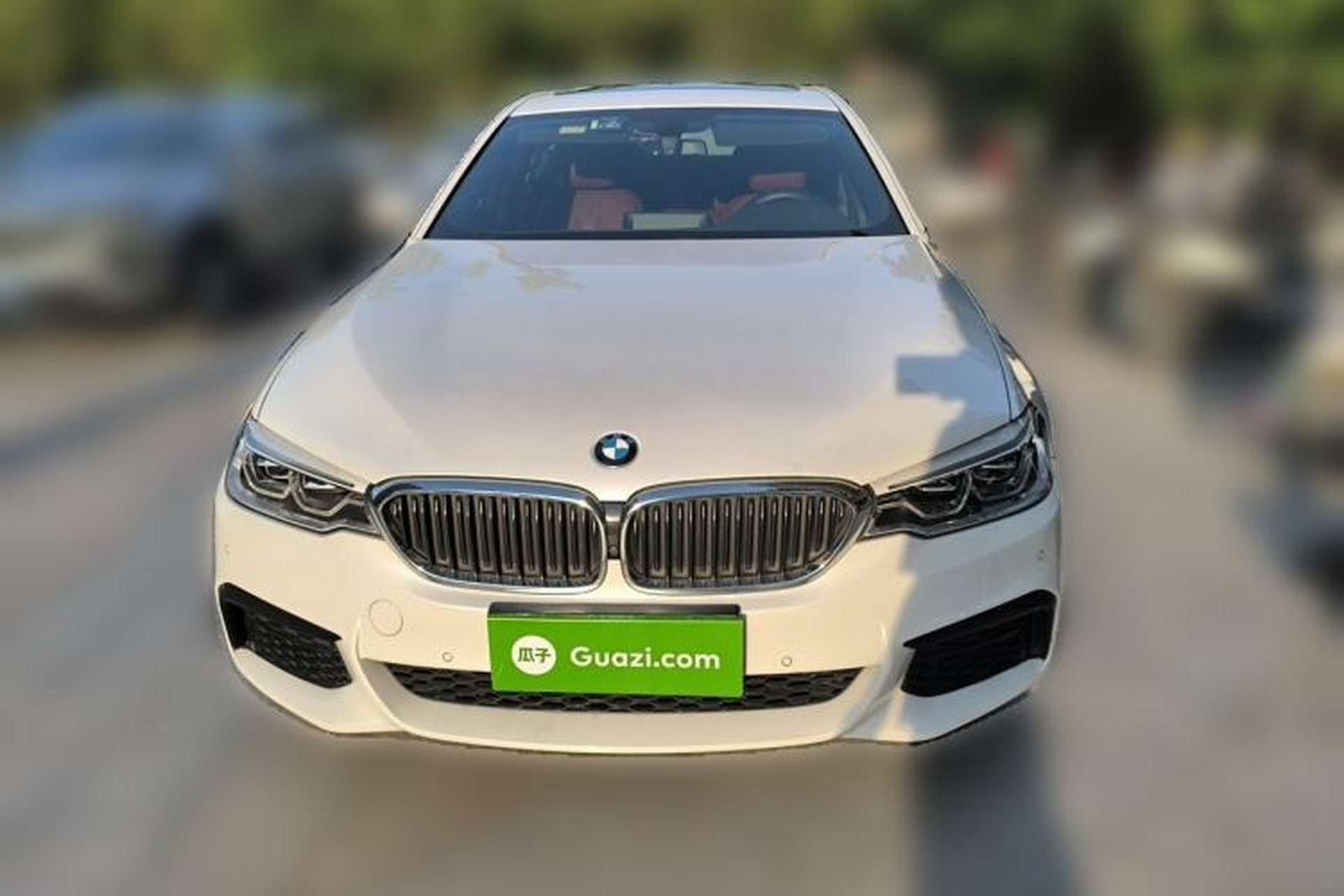 Used BMW 5 Series 2019 Restyled 530Li Luxury Edition M Sport Package Front