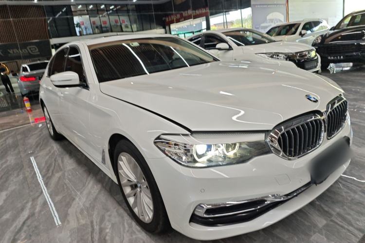 Used BMW 5 Series 2019 530Li xDrive Luxury Package Front Right 45 Deg
