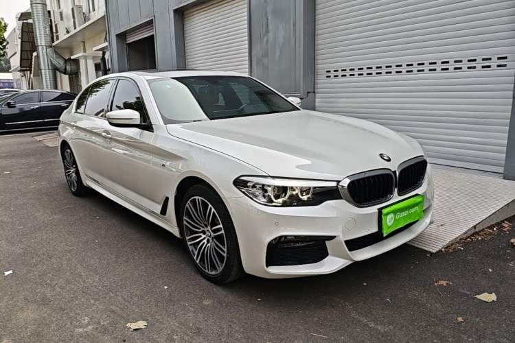 Used BMW 5 Series 2019 530Li Leading Model M Sport Package Front Right 45 Deg