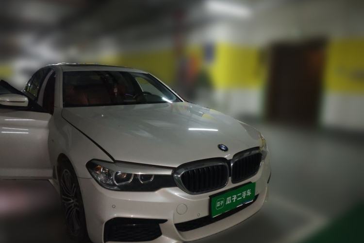 Used BMW 5 Series 2019 530Li Leading Model M Sport Package Front Right 45 Deg