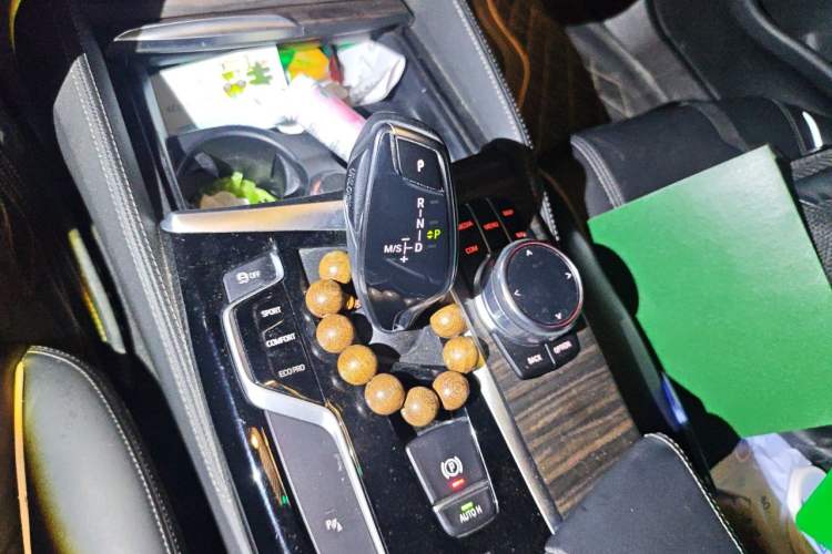 Used BMW 5 Series 2019 530Li Leading Model Luxury Package Gear Lever