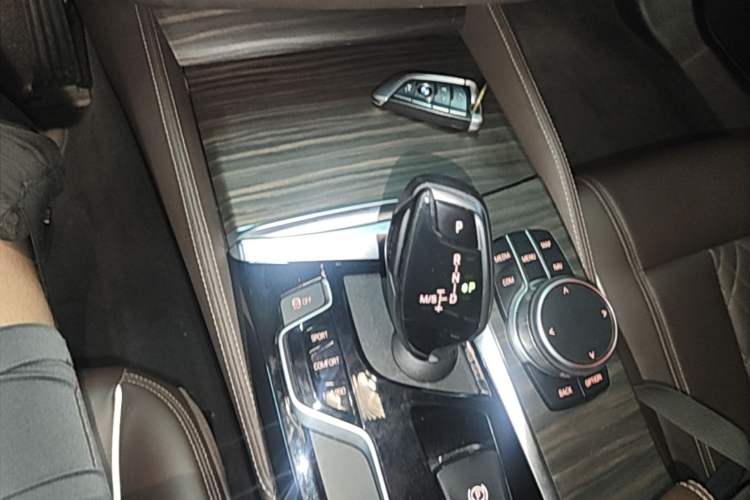 Used BMW 5 Series 2019 Facelifted 530Li Leading Edition Luxury Package Gear Lever