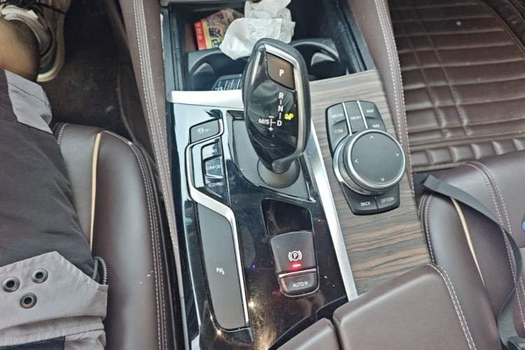 Used BMW 5 Series 2019 530Li Leading Model Luxury Package Gear Lever