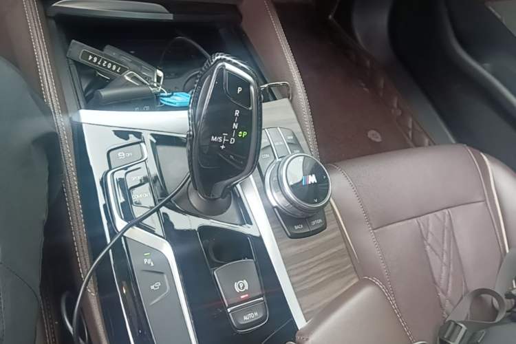 Used BMW 5 Series 2019 Facelifted 530Li Luxury Edition Premium Package Gear Lever