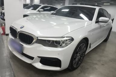Used BMW 5 Series 2019 530Li Leading Model M Sport Package