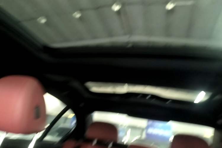 Used BMW 5 Series 2019 530Li Leading Model M Sport Package Headliner
