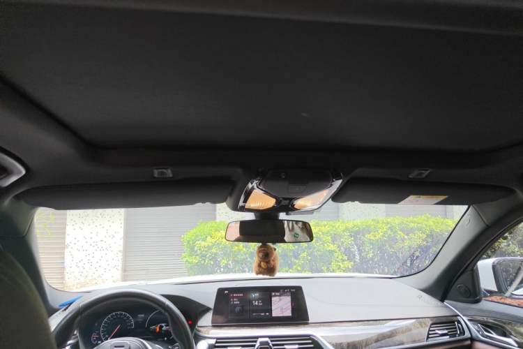 Used BMW 5 Series 2019 525Li M Sport Package Headliner