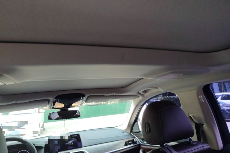 Used BMW 5 Series 2019 Facelifted 530Li Leading Edition Luxury Package Headliner