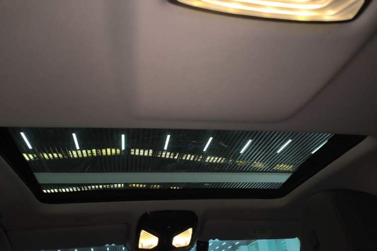 Used BMW 5 Series 2019 525Li Luxury Package Headliner