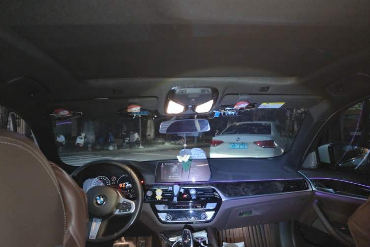 Used BMW 5 Series 2019 525Li M Sport Package Headliner