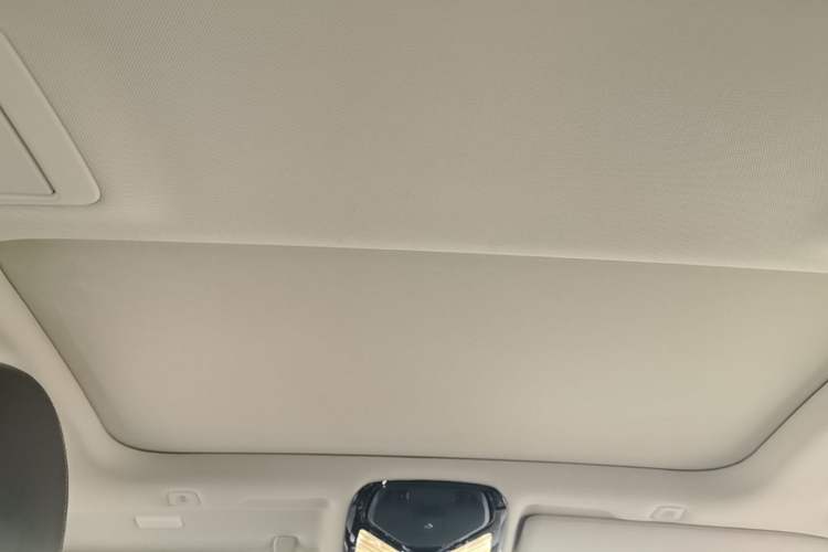 Used BMW 5 Series 2019 530Li Leading Model Luxury Package Headliner