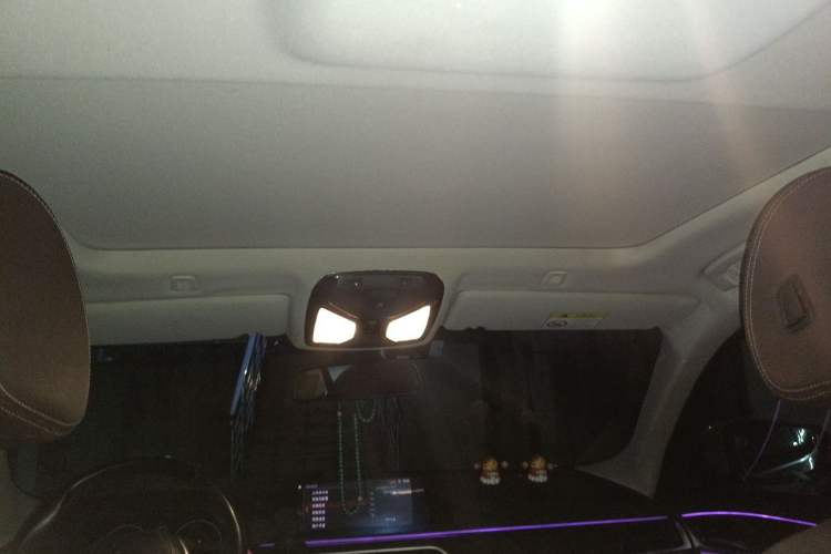 Used BMW 5 Series 2019 525Li Luxury Package Headliner