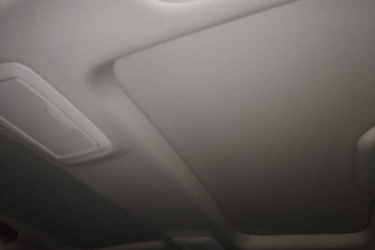 Used BMW 5 Series 2019 530Li Leading Model Luxury Package Headliner