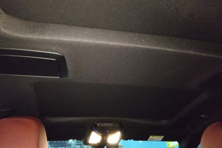 Used BMW 5 Series 2019 530Li xDrive M Sport Package Headliner