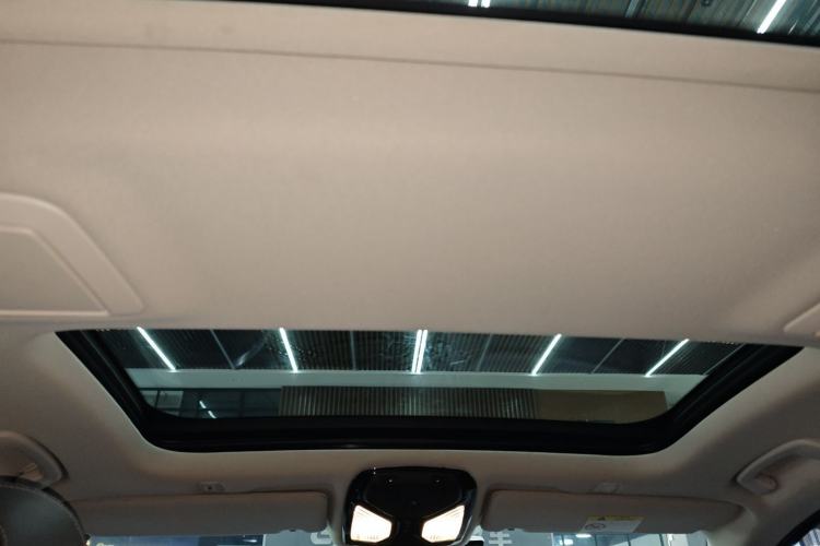 Used BMW 5 Series 2019 530Li xDrive Luxury Package Headliner