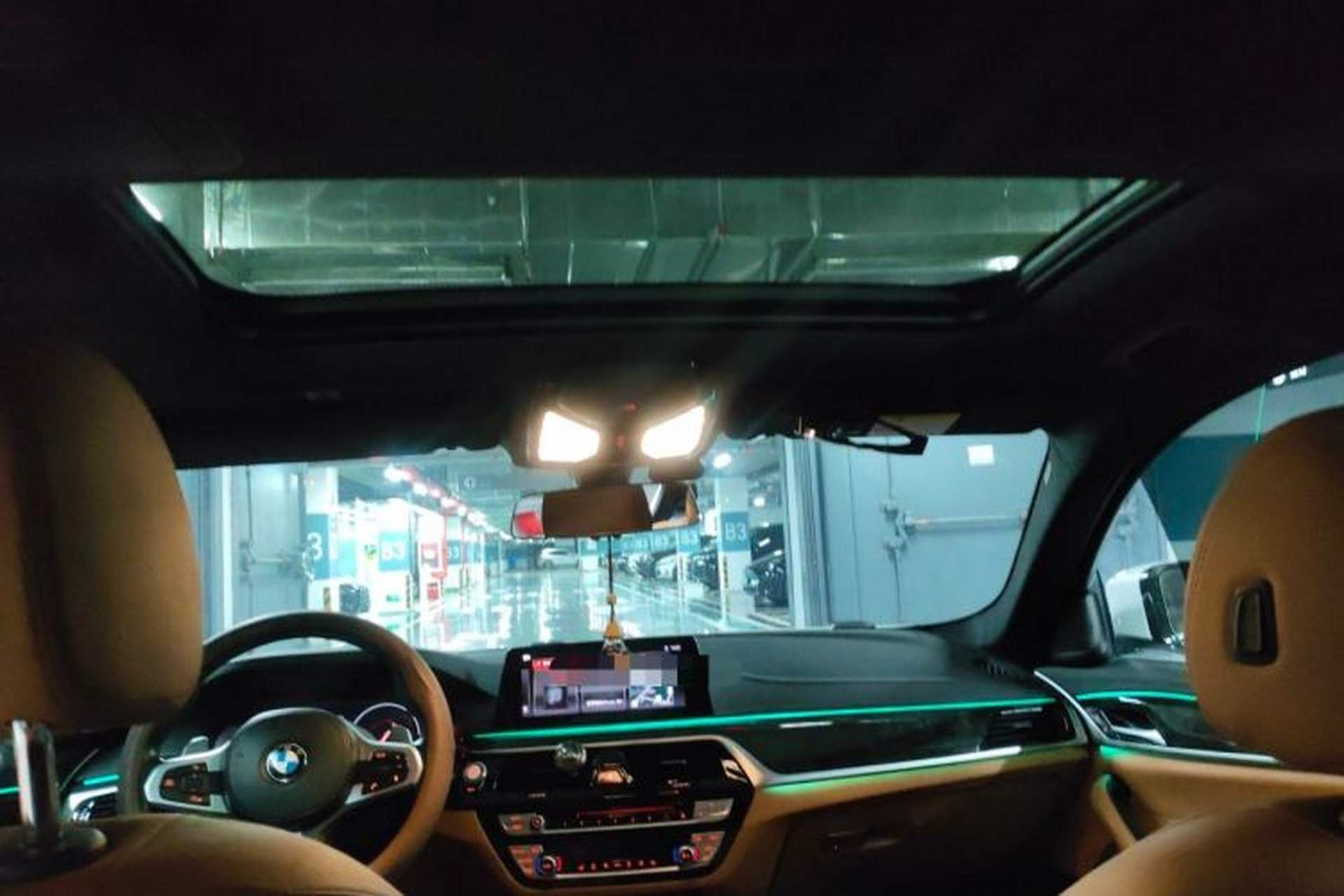 Used BMW 5 Series 2019 530Li Leading Model M Sport Package Headliner