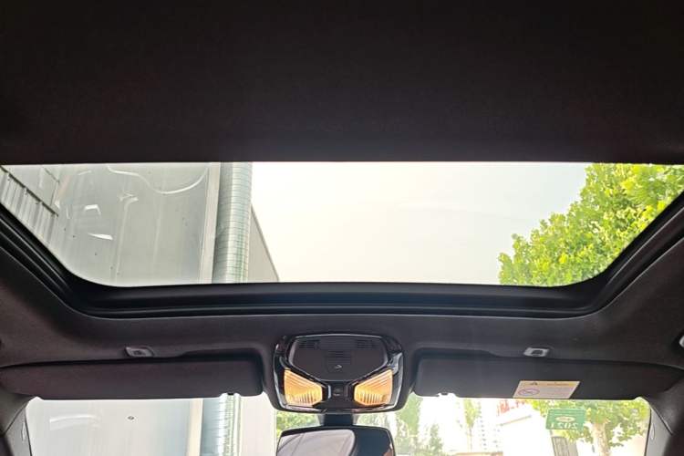 Used BMW 5 Series 2019 530Li Leading Model M Sport Package Headliner