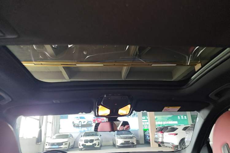 Used BMW 5 Series 2019 530Li xDrive M Sport Package Headliner