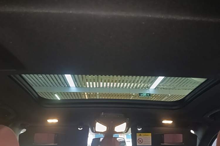 Used BMW 5 Series 2019 530Li Leading Model M Sport Package Headliner
