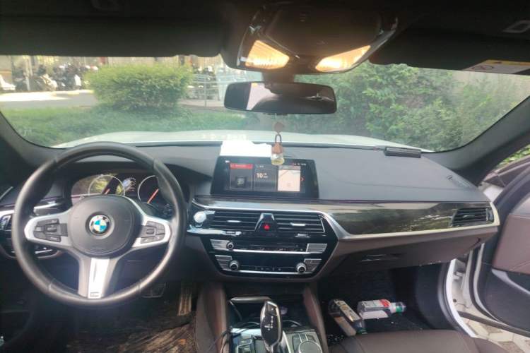 Used BMW 5 Series 2019 525Li M Sport Package Headliner