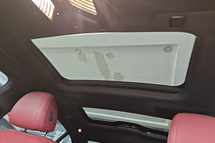 Used BMW 5 Series 2019 530Li Leading Model M Sport Package Headliner