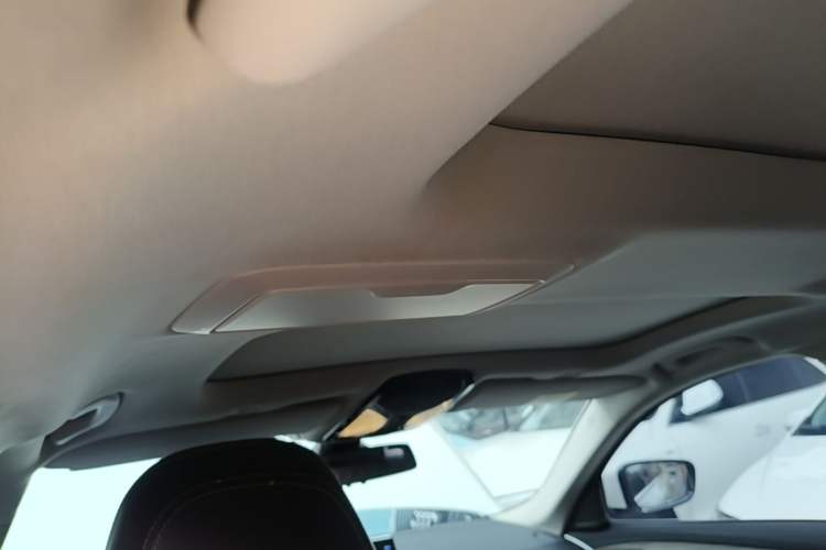 Used BMW 5 Series 2019 530Li Leading Model Luxury Package Headliner