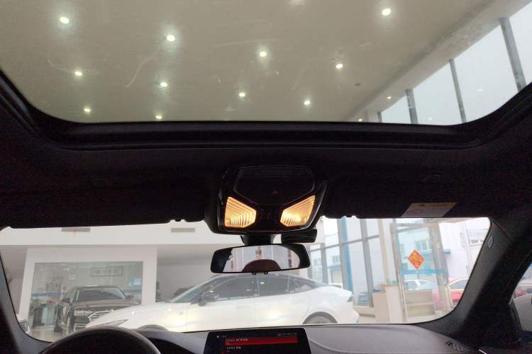 Used BMW 5 Series 2019 530Li Leading Model M Sport Package Headliner