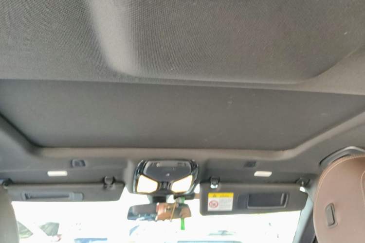 Used BMW 5 Series 2019 525Li M Sport Package Headliner