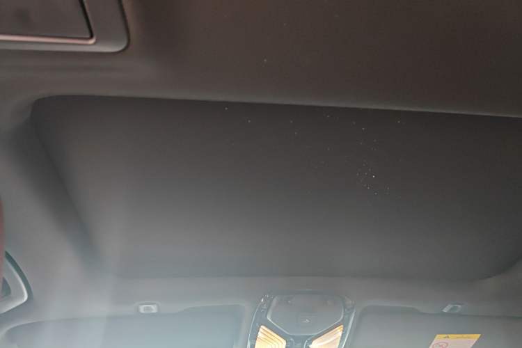 Used BMW 5 Series 2019 530Li Leading Model M Sport Package Headliner