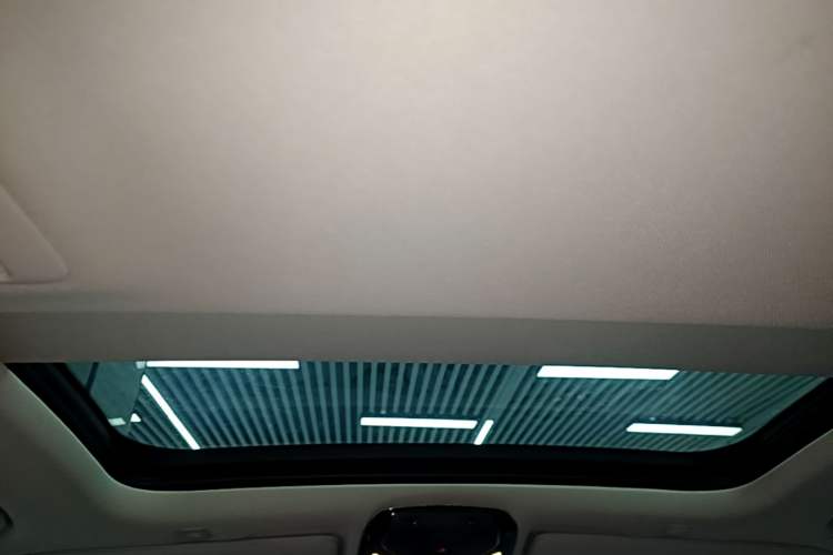 Used BMW 5 Series 2019 530Li Leading Model Luxury Package Headliner
