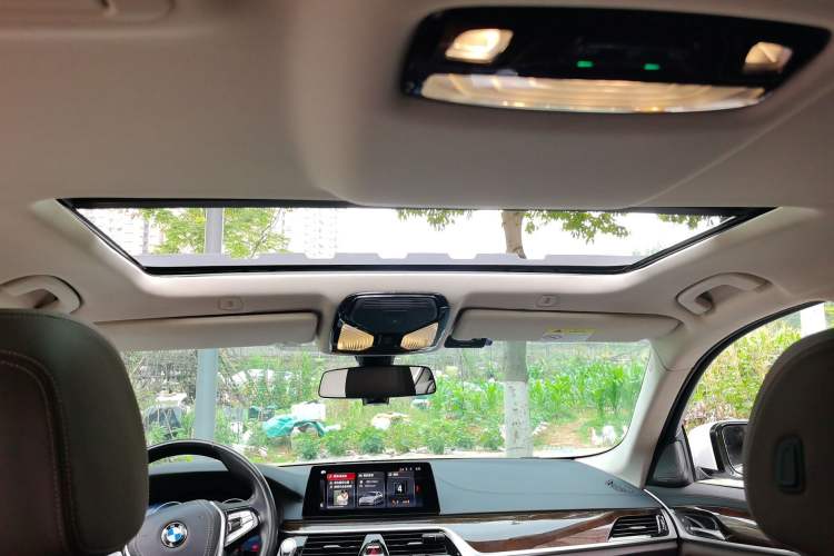 Used BMW 5 Series 2019 525Li Luxury Package Headliner