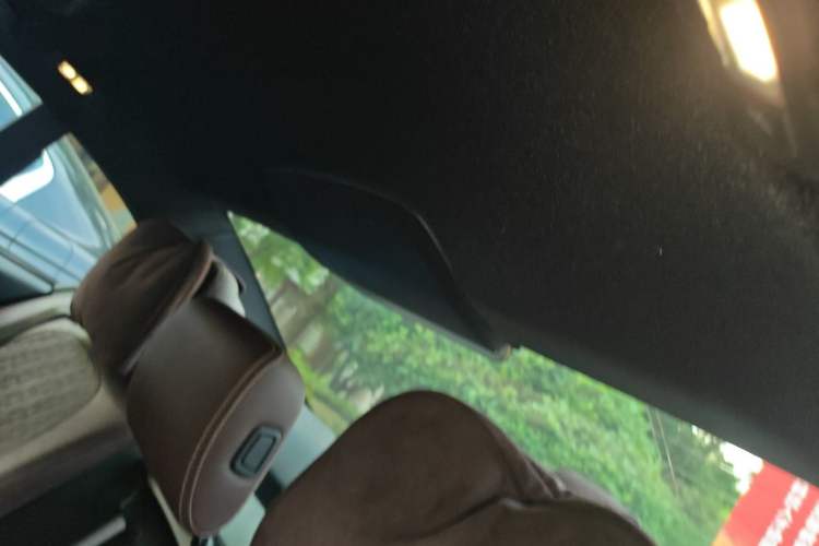 Used BMW 5 Series 2019 530Li xDrive M Sport Package Headliner