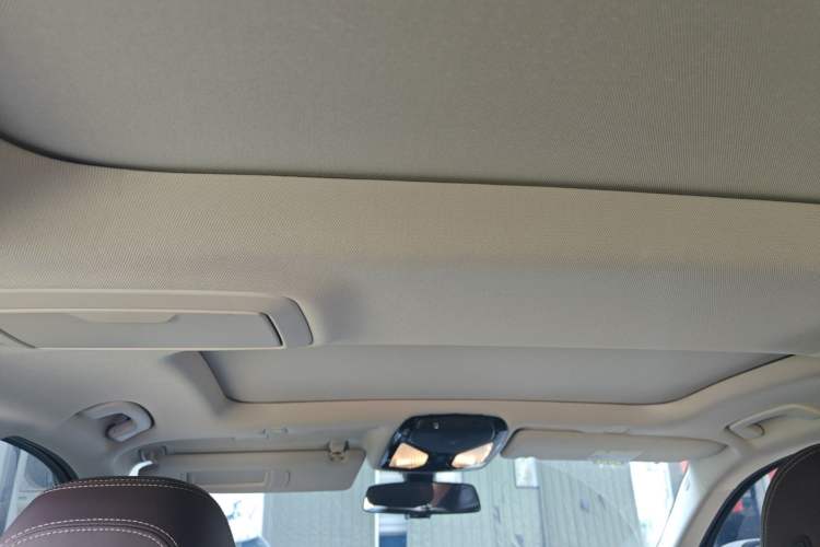 Used BMW 5 Series 2019 Facelifted 530Li Leading Edition Luxury Package Headliner