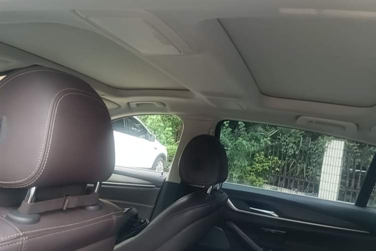 Used BMW 5 Series 2019 Facelifted 530Li Luxury Edition Premium Package Headliner