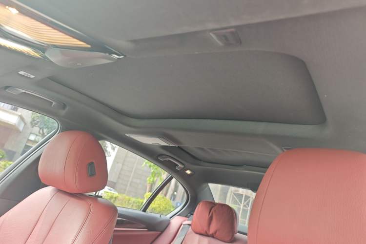 Used BMW 5 Series 2019 530Li Leading Model M Sport Package Headliner