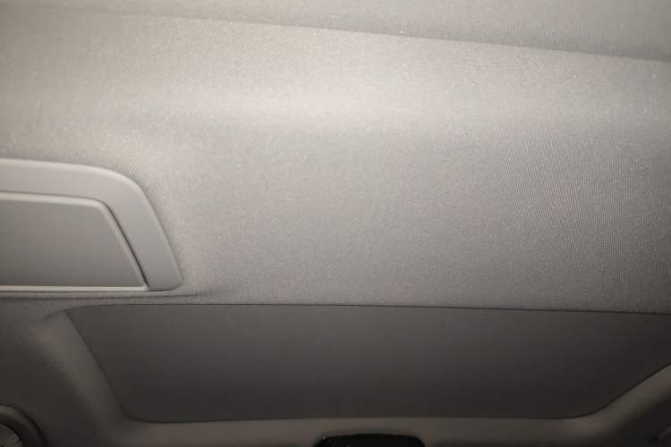 Used BMW 5 Series 2019 530Li Leading Model Luxury Package Headliner