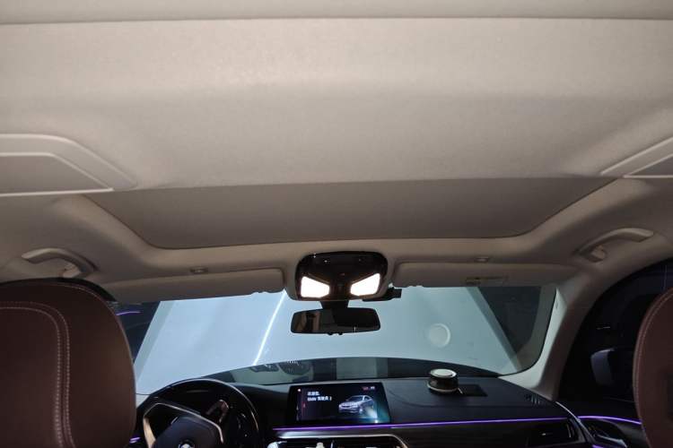 Used BMW 5 Series 2019 530Li Leading Model Luxury Package Headliner